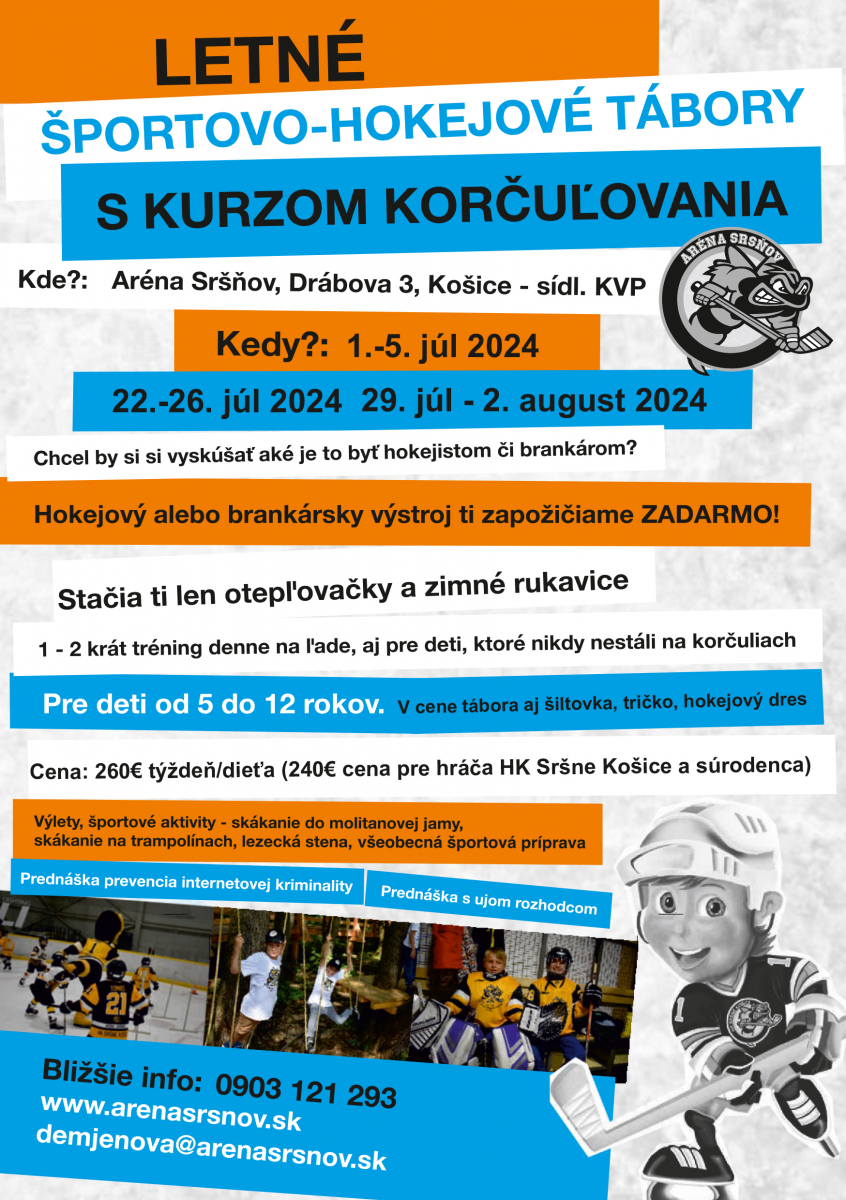 Aréna Sršňov: ‼️ Letné športovo – hokejové tábory budú prebiehať aj v lete 2024 ‼️